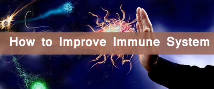 How you can improve your immune system